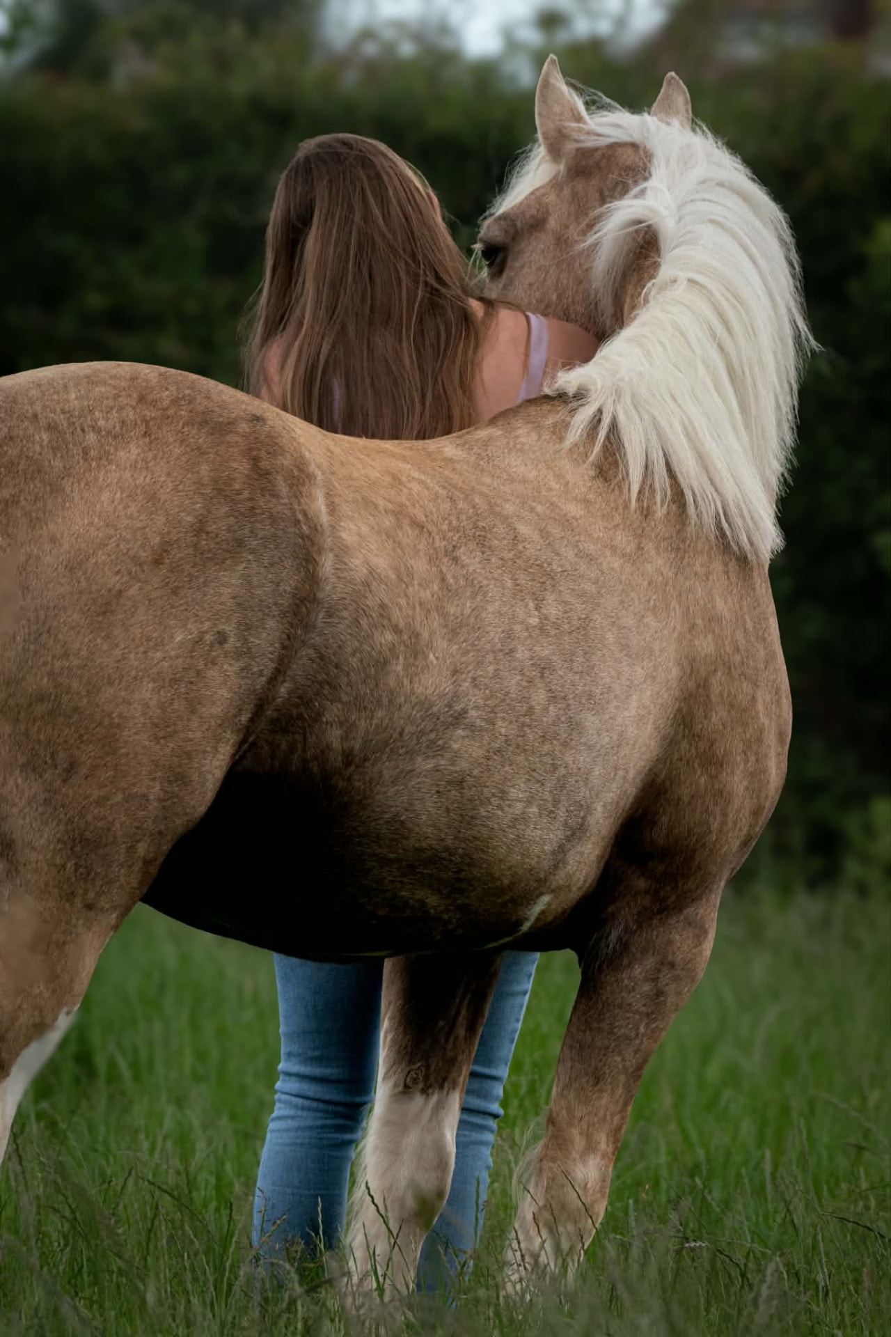 Palomino turning to nuzzle the woman standing beside it