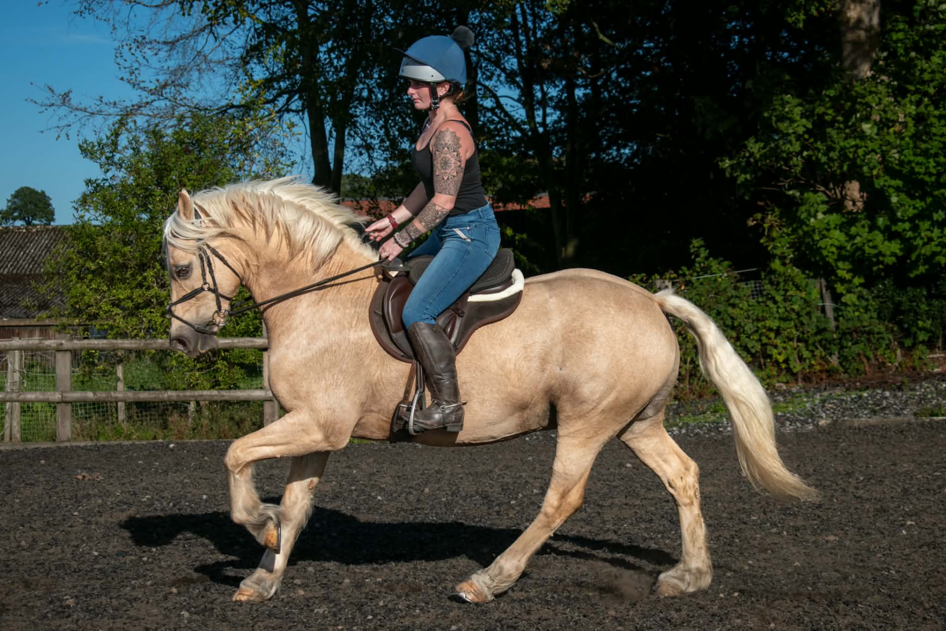Rider on a palomino pony in an outdoor school beside trees