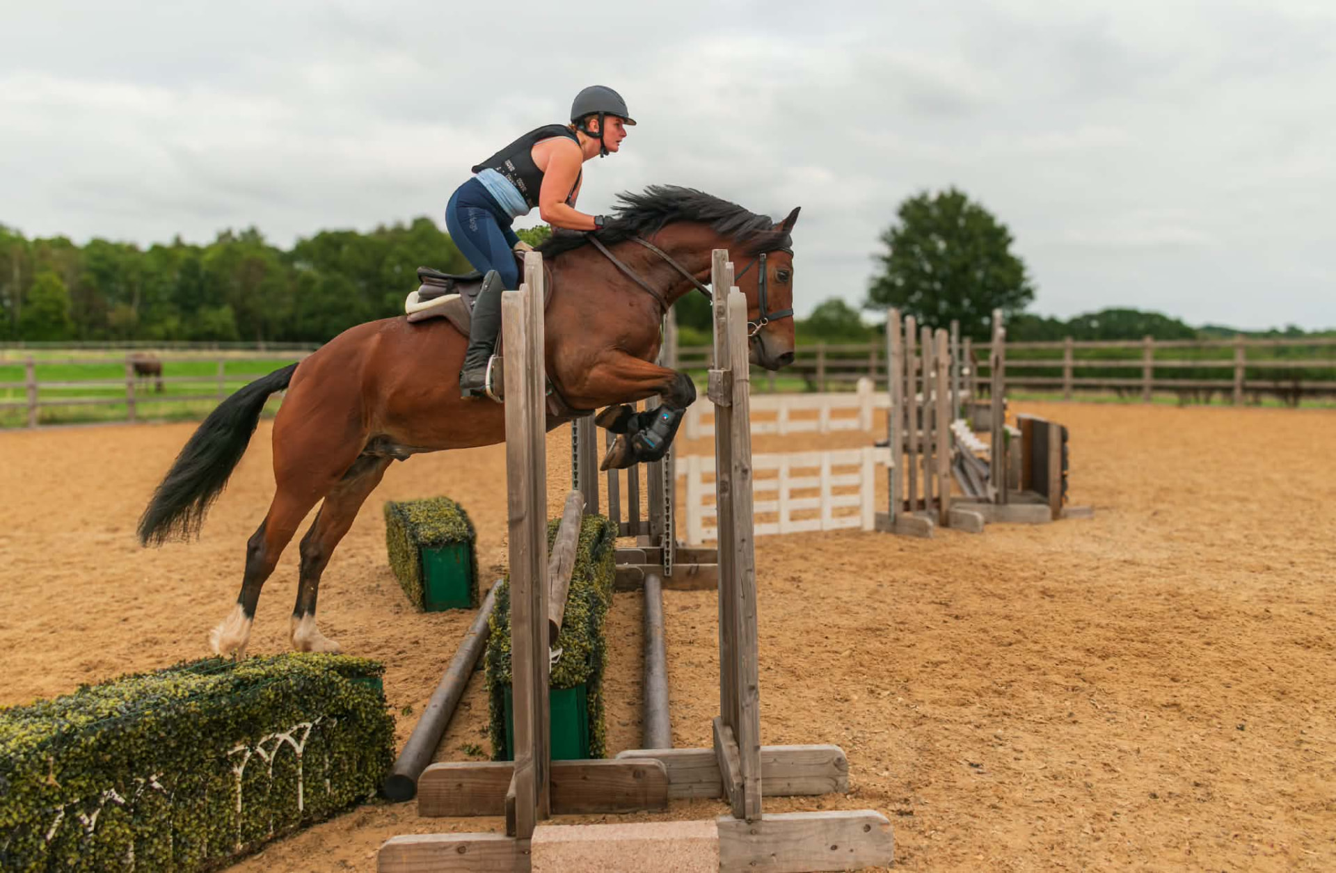 Rider on a bay horse clearing a rustic show jump
