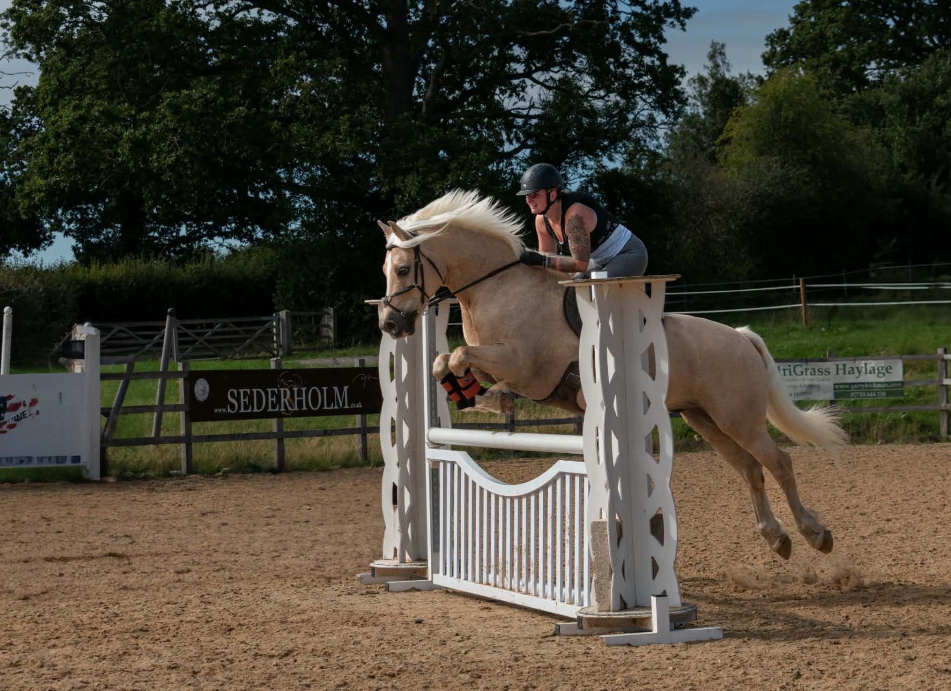 Palomino pony jumping a white fence in front of dark trees
